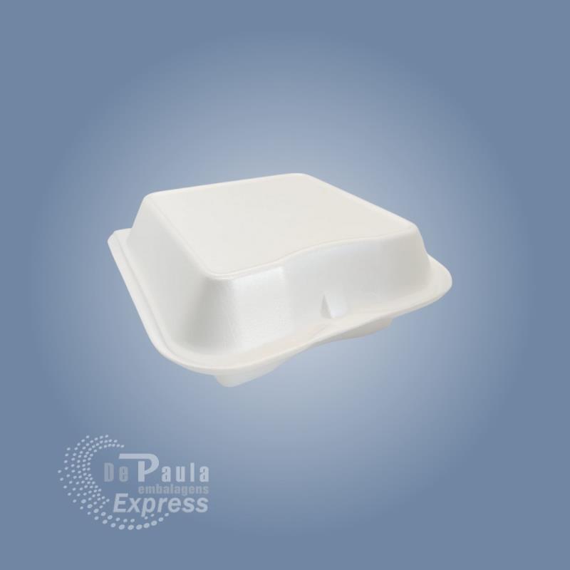 LANCHEIRA ISOPOR (T1)