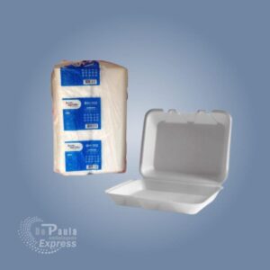 LANCHEIRA ISOPOR (BH-102) FD C/100